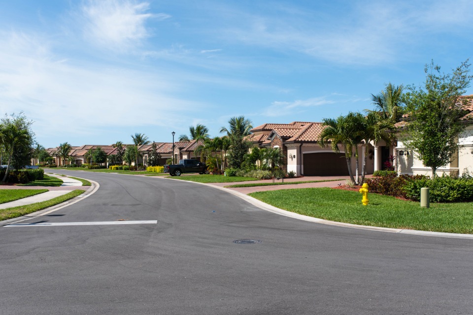 Quiet suburban street lined with single-family homes and palm trees